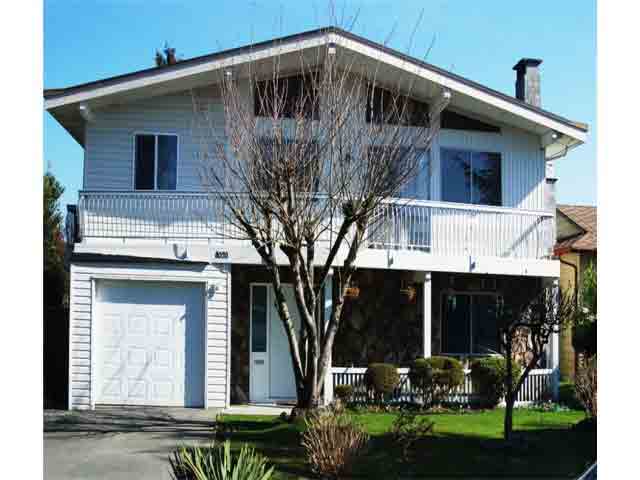 Light steel frame houses 